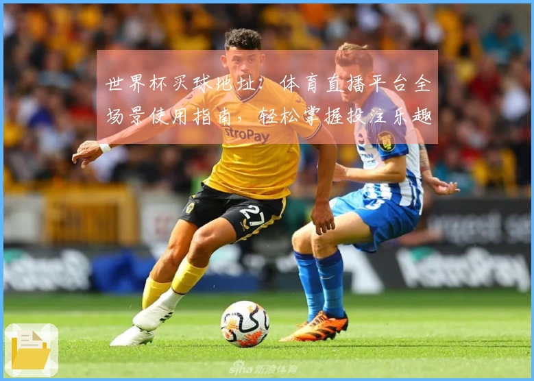 世界杯买球地址：体育直播平台全场景使用指南，轻松掌握投注乐趣