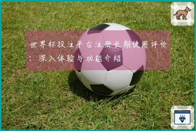 世界杯投注平台注册长期使用评价：深入体验与功能介绍