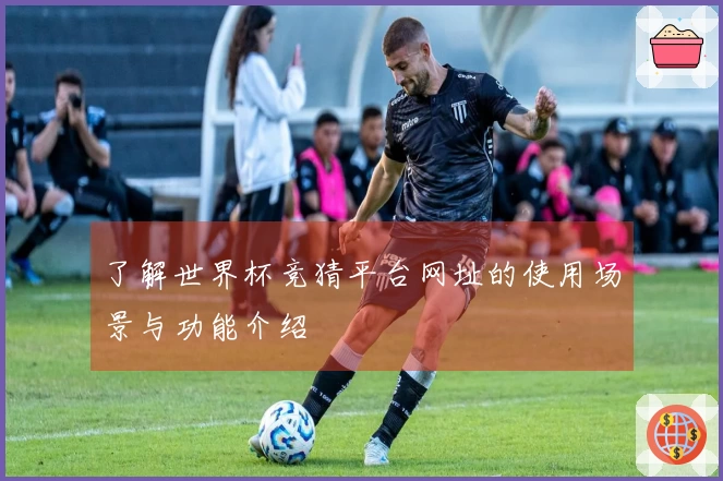 了解世界杯竞猜平台网址的使用场景与功能介绍